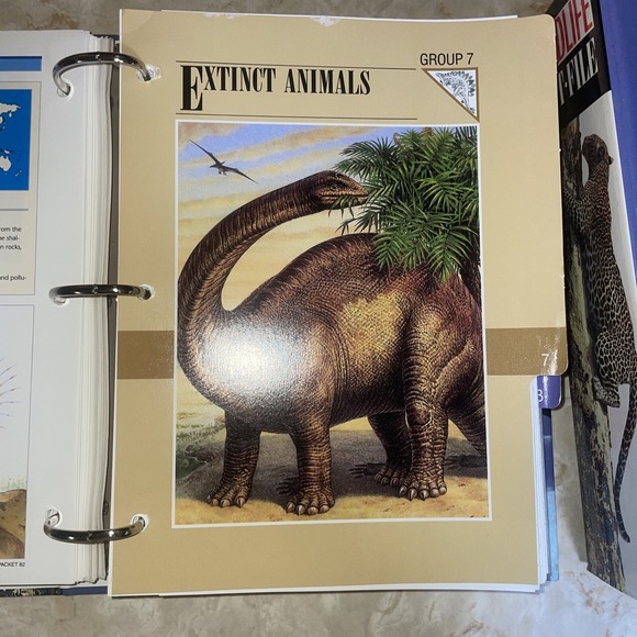 wildlife fact file Sections 6-11, Roughly 350 Cards - Picture 8 of 15